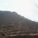 54부동산공인중개사사무소 이미지