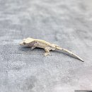 원주브리딩 이미지