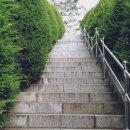 전주이씨 효령대군 이보의 묘 이미지