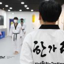 다올태권도장 이미지