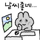 망고골프