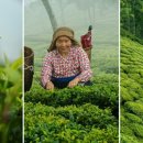 마이티농장 이미지