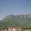 델피노