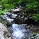 산새소리물소리 이미지