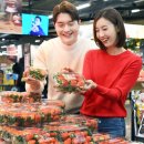 대란과일 이미지