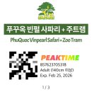 린다정 | 푸꾸옥 북부 빈펄사파리 그랩, 트램, 스타벅스, 기린식당, 사파리버스, 꿀팁 후기