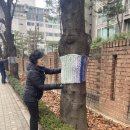 서울동자초등학교 이미지