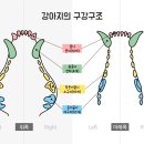 막강사
