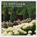 신곡동 313-7 일원 | 진주 월아산 수국 축제 자연휴양림 부산 근교 꽃구경 명소 가볼만한곳