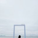 아셀민박 | 대부도 구봉도 카페 아셀 발리다 빈솔트 코브나인 비교