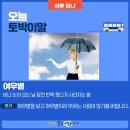여우바라기 이미지