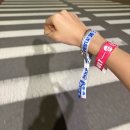 (주)청우푸드 | 사운드베리페스타 2026 사베페 라인업 푸드 부스 정보 킨텍스 페스티벌 시야 준비물 꿀팁 후기
