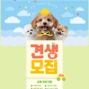 독트럴파크 이미지