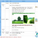 호텔C.C 이미지
