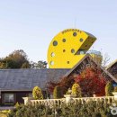 국사봉 전망대 이미지