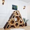 펫하우스 V | 가슴으로 낳아 지갑으로 모시는 고양이님들, 2025년 12월 궁디팡팡 캣페스타 후기