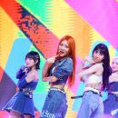 상아케이 스타데일리뉴스 