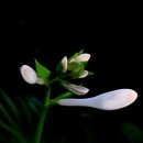 좋은나무 이미지