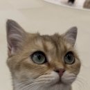 두물로 11 네이버블로그