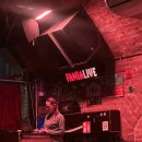 소셜댄스 | [비엔나] 빈 스윙 댄스 린디합 소셜 _ 비기너 클래스 포함