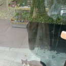 몽몽까까 이미지