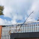 글로벌국제행정사사무소 이미지