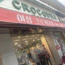 여성크로커다일화서점