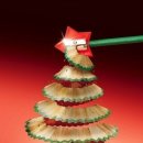 정아람