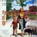 영화와음악] 물망초(Vento Di Primavera, 1958) + Non Ti Scordar Di Me(날 잊지 말아요) / Ferruccio Tagliavini 이미지