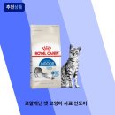 로얄 - 연제구 | 로얄