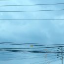 오태1길-1 이미지