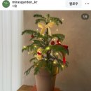 일산 덕양구 화훼농원 헬로우 가든마켓 후기