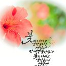 씨유 이미지