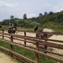 건지목장 이미지