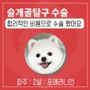 삼송사랑 동물의료센터 이미지