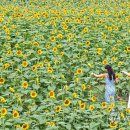 박지호농장 연합뉴스