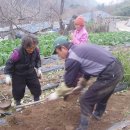 산골의하루 이미지