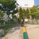 좌수영초교병설유치원 이미지