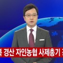 자인 이미지