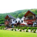 산새소리물새소리 이미지