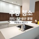 이 편한 우리 아이 구강 관리법 | 주방 정리 관리 청소 추천템 3가지 내돈내산 삶의 질 상승 템