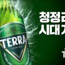 테라 이미지