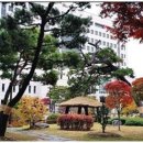 법무사황철원사무소 네이버블로그