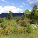 충주파쓰리골프클럽 이미지