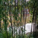 비자나무아래집 이미지