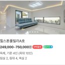 힐스톤애견풀빌라 이미지