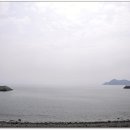 진산해수욕장 Daum카페