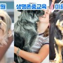 반려마루 동물병원 이미지
