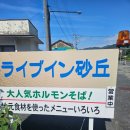 대창택시 | [여행] 돗토리 사구 근처 대창소바 식당, 드라이브 인 사구(Drive in Sakyu ドライブイン砂丘) 방문기!!