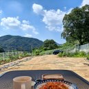 각하농장 이미지